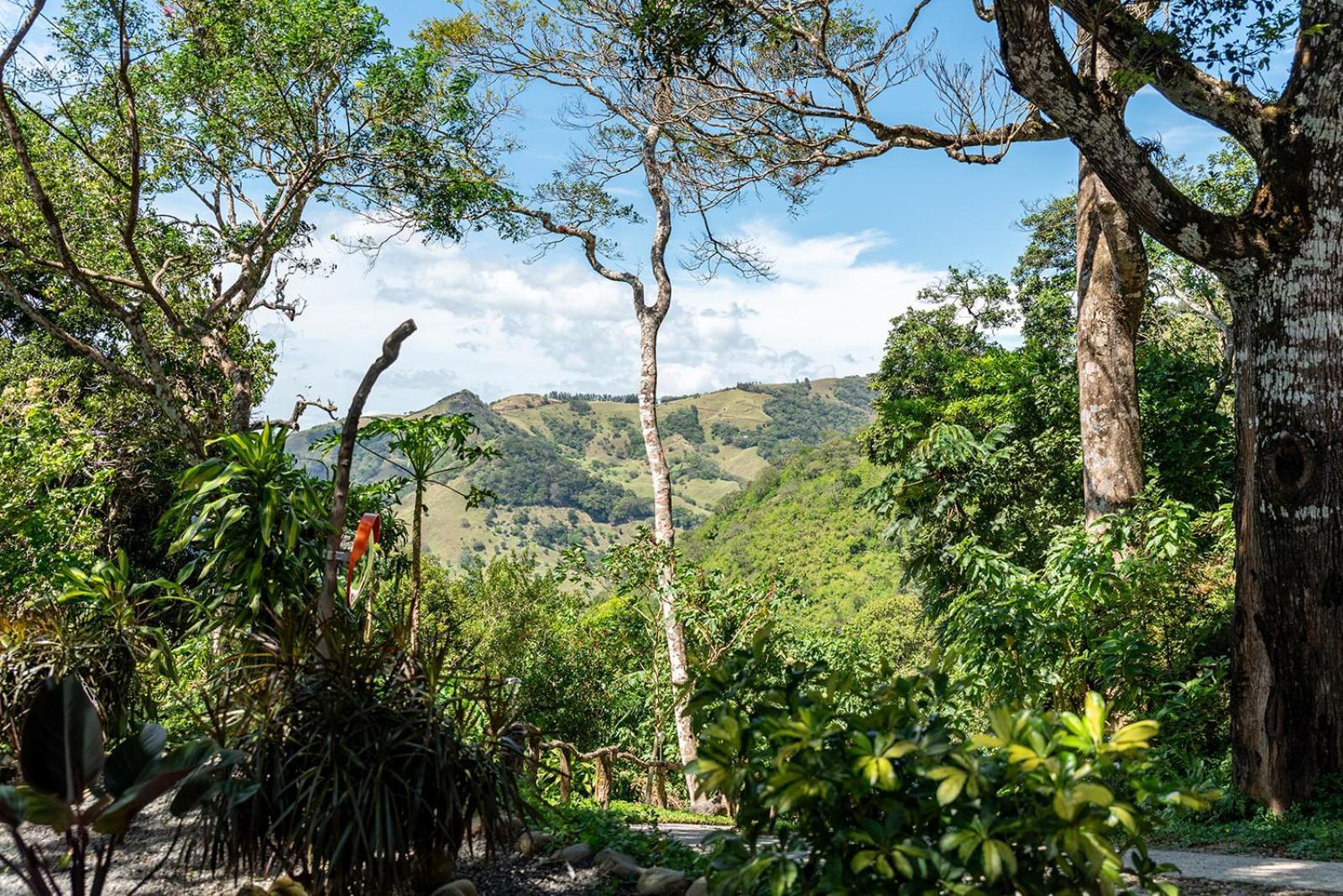 Finca Sunset Monteverde Luaran gambar
